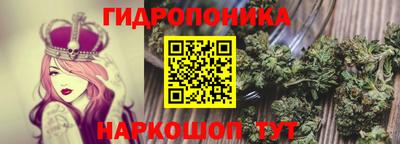 мдпв Рыбинск
